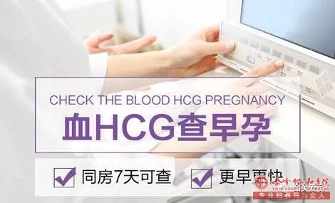 宁德元宝山早孕试纸什么时候用
