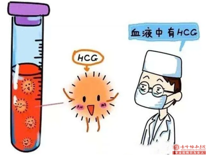 宁德妇科医院早孕HCG检查，包括血HCG和尿HCG！
